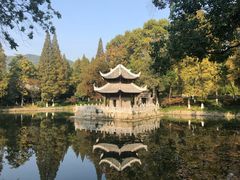 -习家池
