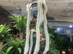 -白佛花鸟鱼虫批发市场小型宠物交易(东区)