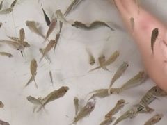 -欢乐水魔方水世界