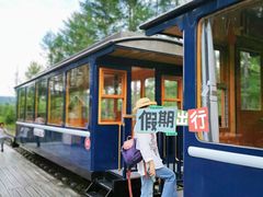 -莫尔道嘎国家森林公园