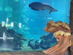 -华夏文旅海洋公园