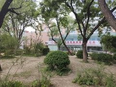 -双榆树公园