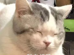 -肯德基(南京站A2检票口楼上)