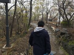 -阳台山自然风景区