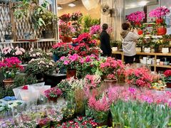 -双季花艺园艺市场(浦东店)