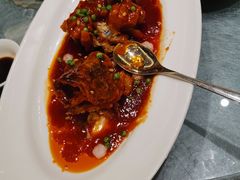 -沪碟·精菜坊(闵行店)