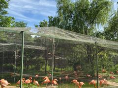 -石家庄市动物园