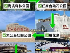 -日照海滨国家森林公园