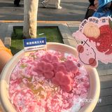 春日限定美食丨樱花布丁🌸