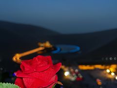 -老钟家烤羊排·敦伊阁清真餐厅胡羊焖饼