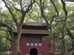 -普陀山风景名胜区-法雨禅寺