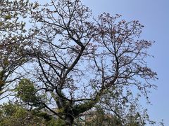 -西湖公园(鼓楼区)