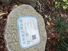 -秋霞圃