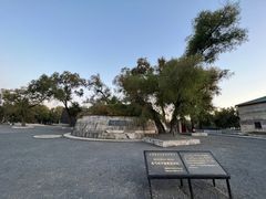 -侵华日军第七三一部队罪证陈列馆