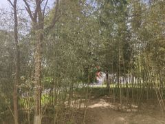 -威海天沐度假区温泉