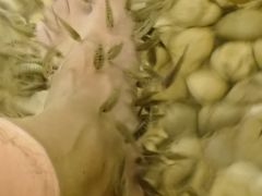 -苏州环秀晓筑养生度假村