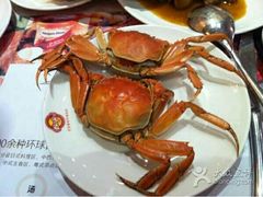 android_upload_pic-芭菲盛宴·环球美食(解放碑英利国际店)