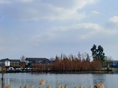 -白鹭湾湿地公园