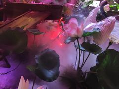 -韵秋荷(宝山龙湖天街店)