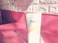 -CoCo都可(十全东店)