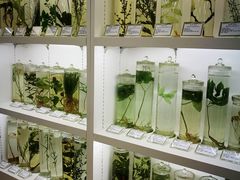-北京中医药大学-中医药博物馆
