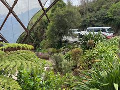 -怀托摩萤火虫洞