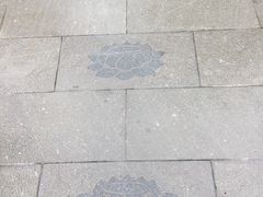 -会龙寺