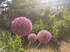 -国家植物园南园