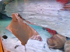 -沈阳海洋探索中心