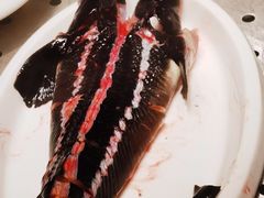 -贺庄·活鱼馆(珠吉路店)