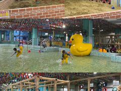 -顺德南宏海立方海洋公园