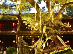 -南京市民俗博物馆(甘熙故居)
