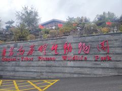 -青藏高原野生动物园
