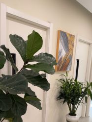 -海涛医疗美容·面部抗衰·注射美鼻