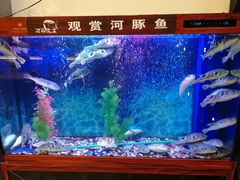 -肆月河豚·新淮扬(金融街店)