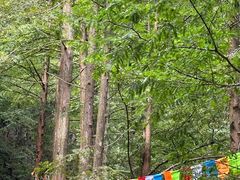 -东天目山风景区