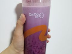 -CoCo都可(安河桥华联店)