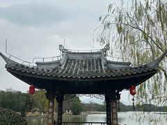 -江心屿景区