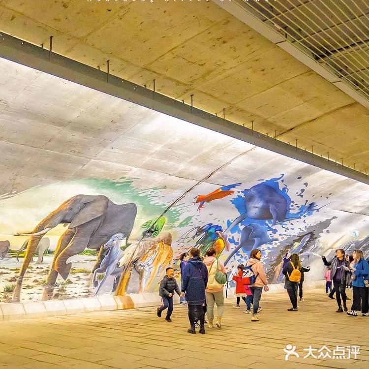 无锡夜景超棒的免费景点🆓南长街❗