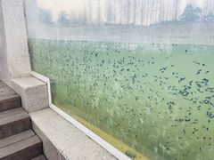 -眉山湿地公园(东坡区)