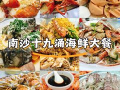 -大湾区中央湿地公园-十九涌