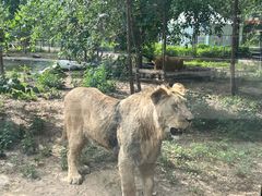 -北京野生动物园