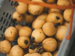 -塘栖枇杷特色园区