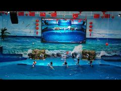 -多彩贵州城极地海洋世界