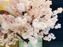 -栖川山葵家·寿喜锅·日式料理(龙湖北城天街商场店)