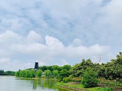 -上海鲜花港
