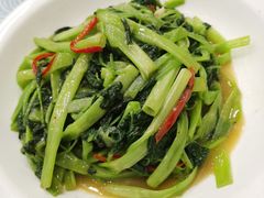 腐乳空心菜-粤·向群饭店(龙津东路总店)