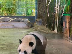 -海南热带野生动植物园