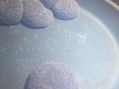 大福-龍歌自助小火锅(城阳万象汇店)