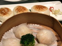 -金紫荆美食自助餐厅
